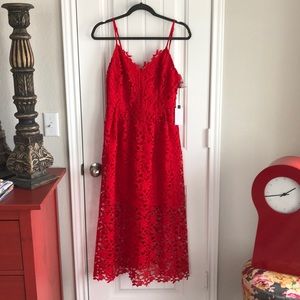 ASTR the Label Lace Midi Dress in Red Lipstick